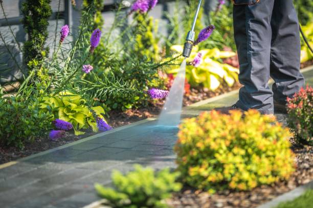 Professional Pressure Washing in North Sioux City, SD